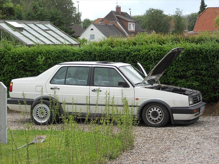 VW jetta td billede 1