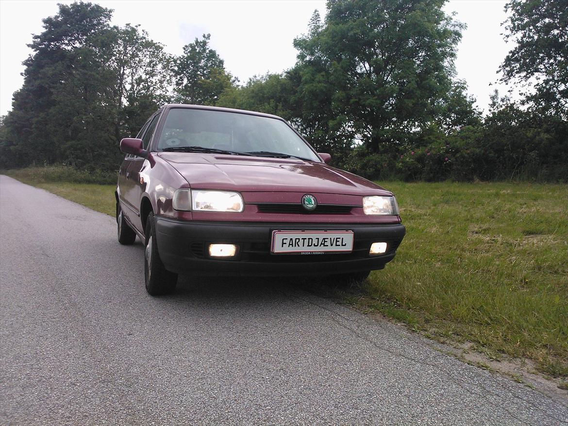 Skoda Felicia GLXI (skubda) FØR billede 4