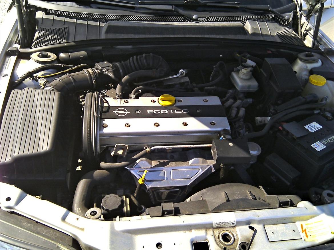 Opel Vectra B Sedan billede 15