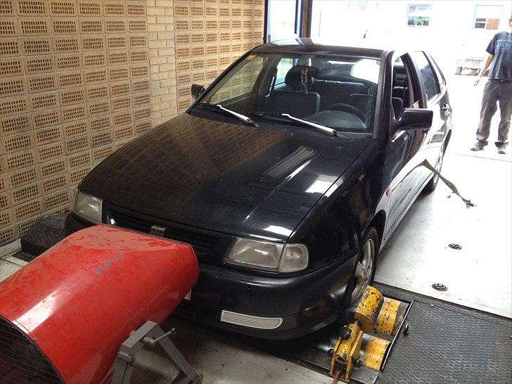 Seat Cordoba SE - Rullefelt ... første forsøg.. resultat = 68.0hk billede 5