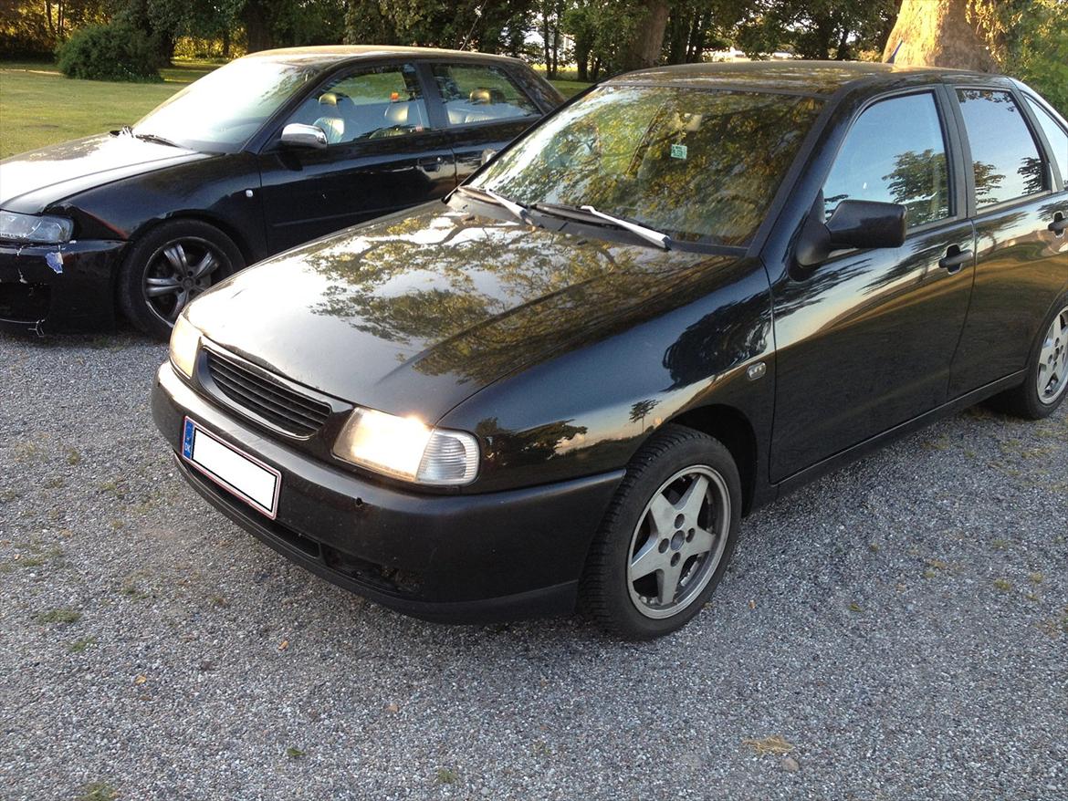 Seat Cordoba SE - sådan står den lige pt. billede 2