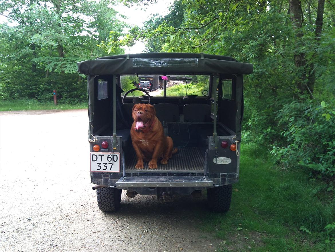 Land Rover Serie 1.   88"   Soft - top. billede 8