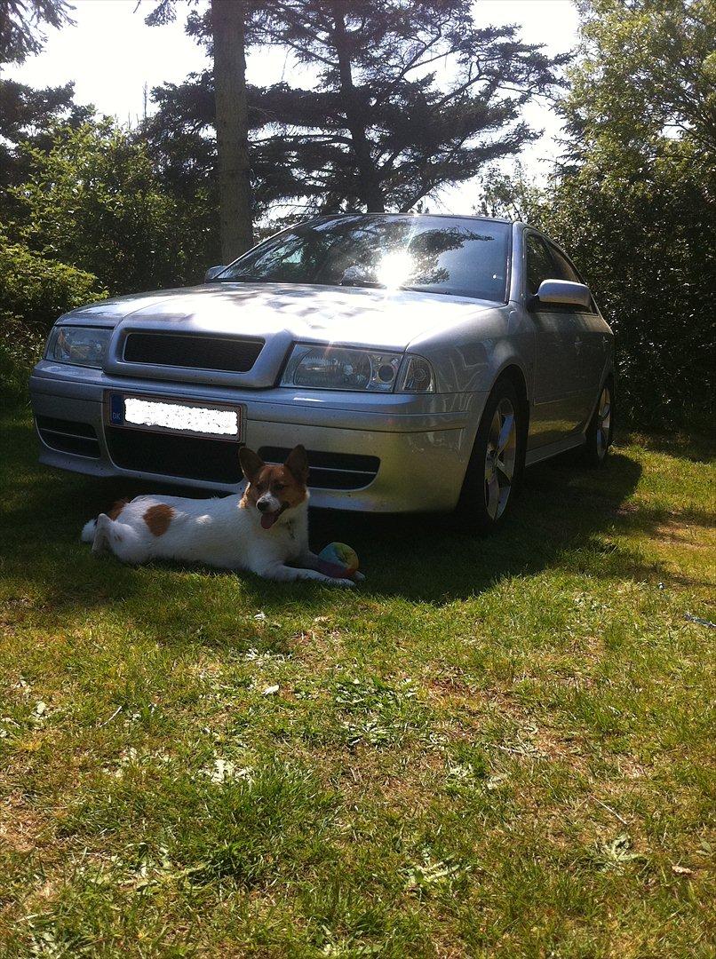 Skoda Octavia Rs - Mine guldklumper;D billede 13