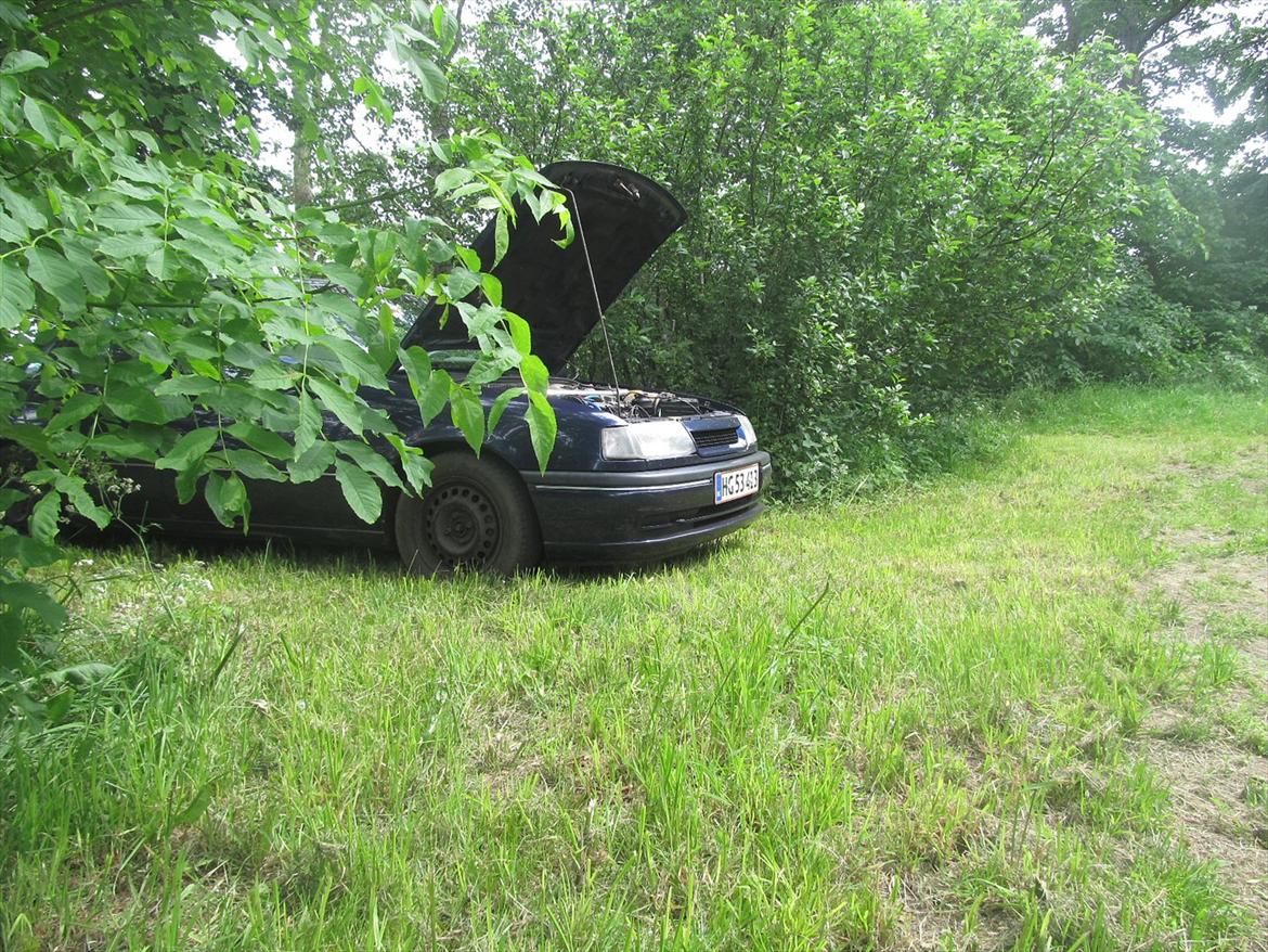 Opel vectra billede 1