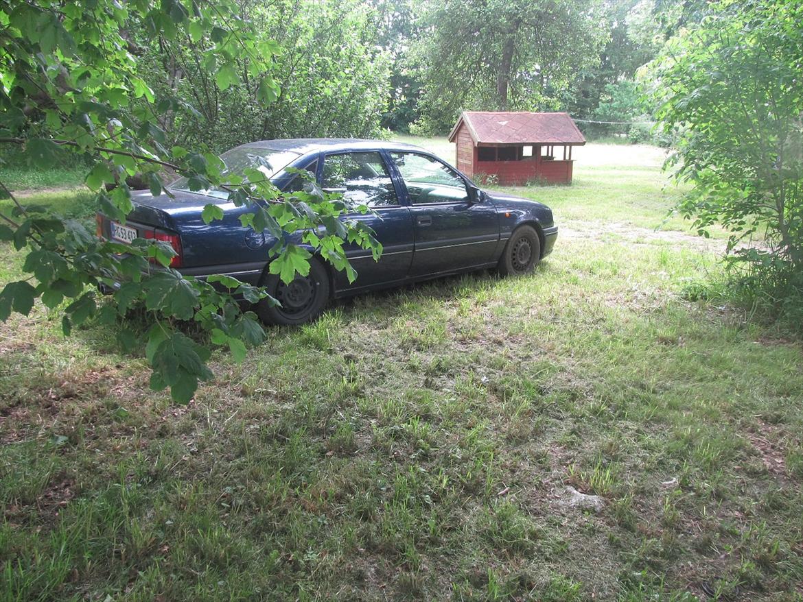 Opel vectra billede 4