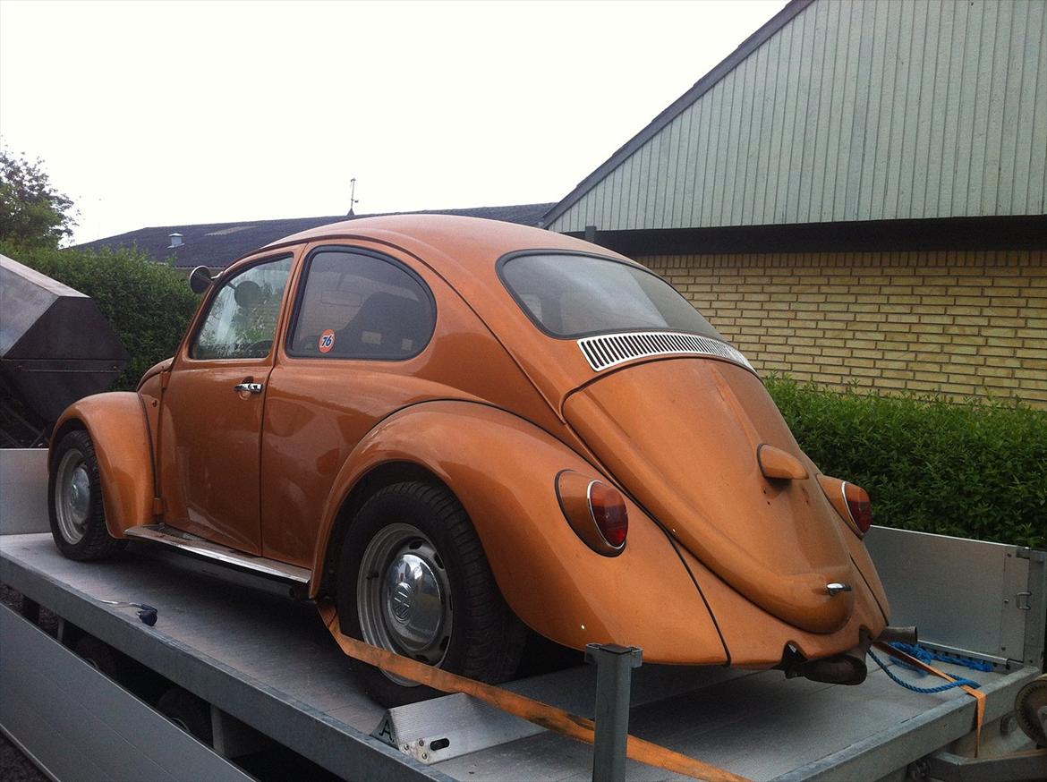 VW Bobbel billede 1