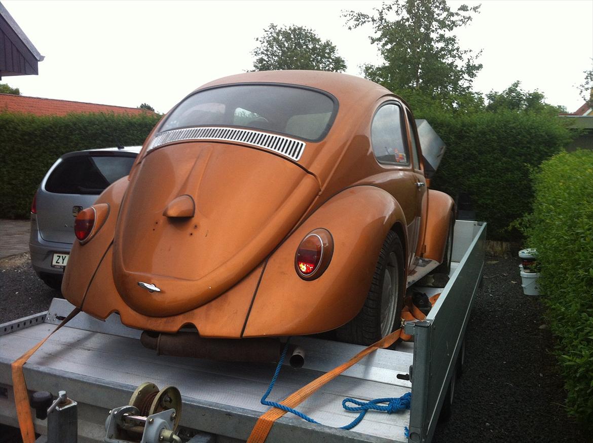 VW Bobbel billede 4