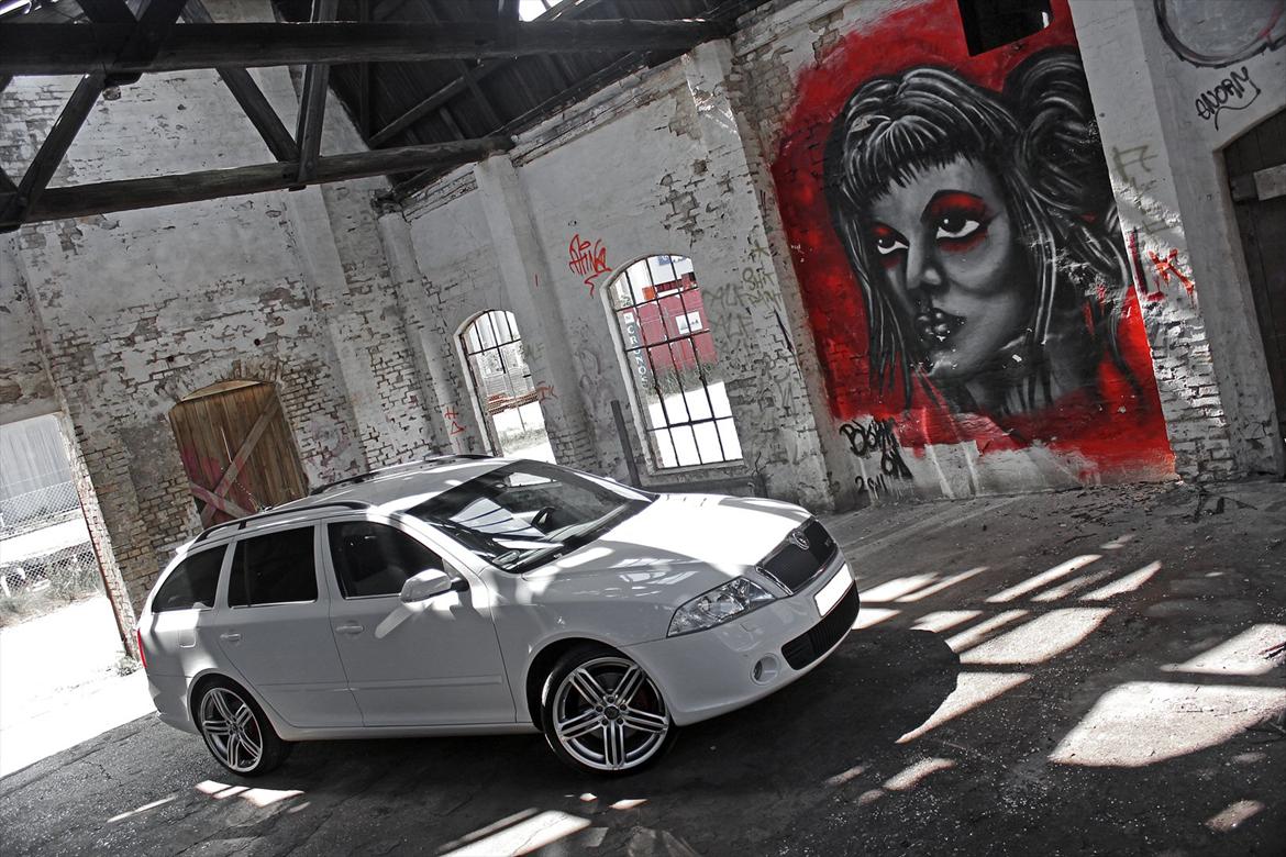 Skoda Octavia RS TDI DSG billede 1