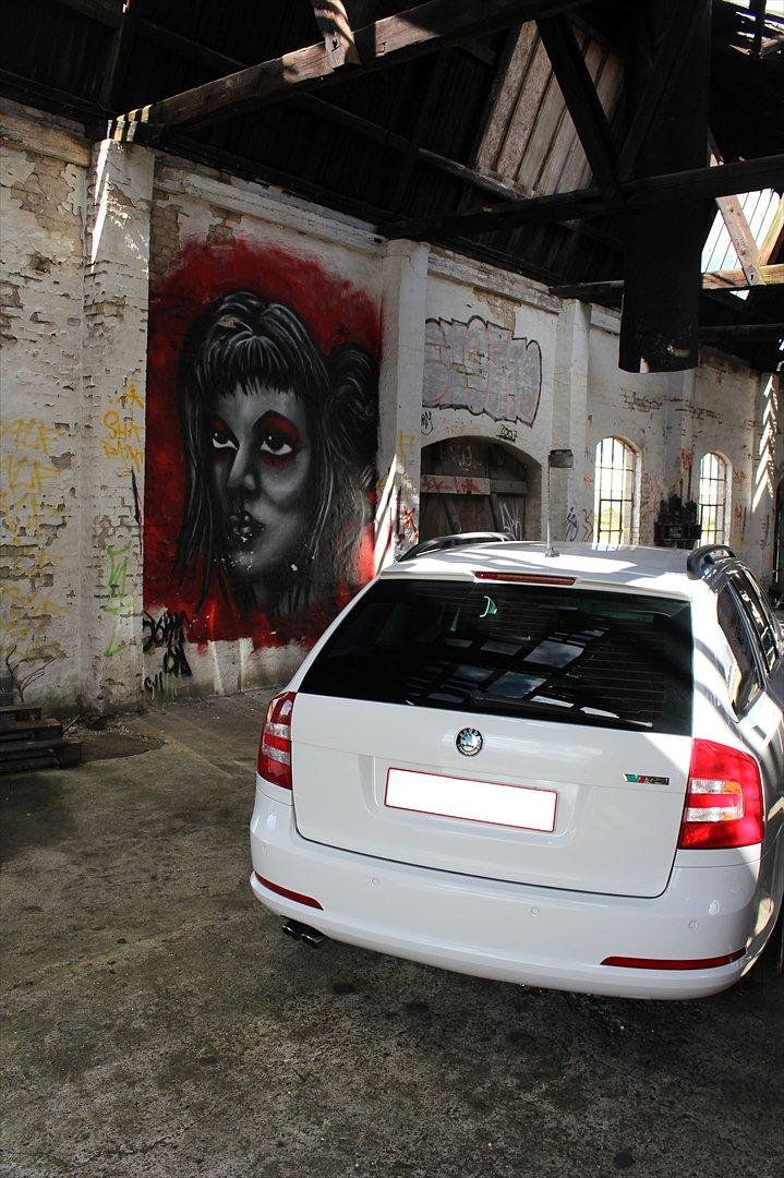 Skoda Octavia RS TDI DSG billede 20