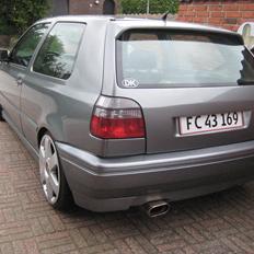 VW Golf 3 vr6 2,9 "totalskadet" ;( rådyr killer