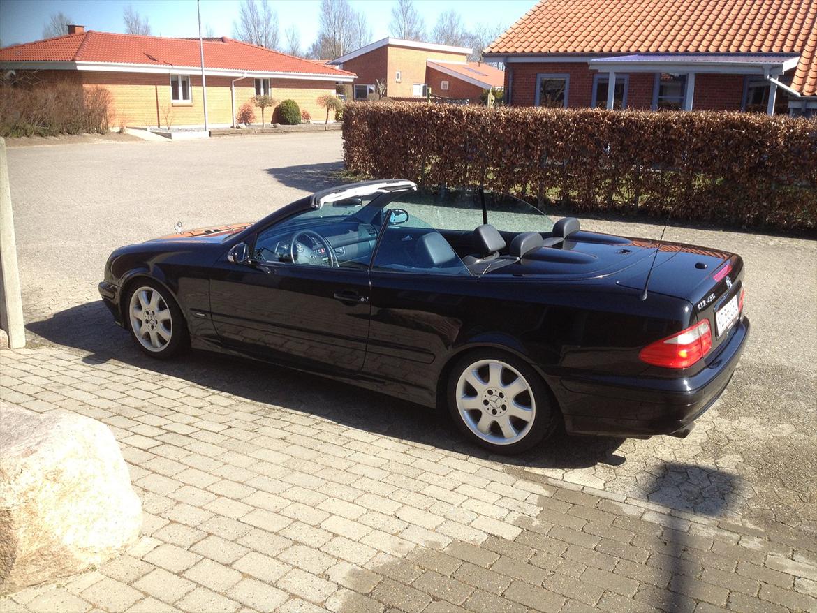 Mercedes Benz CLK 430 billede 5