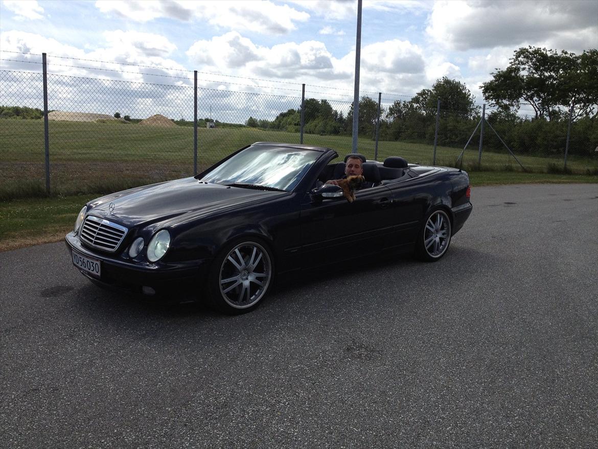 Mercedes Benz CLK 430 billede 11