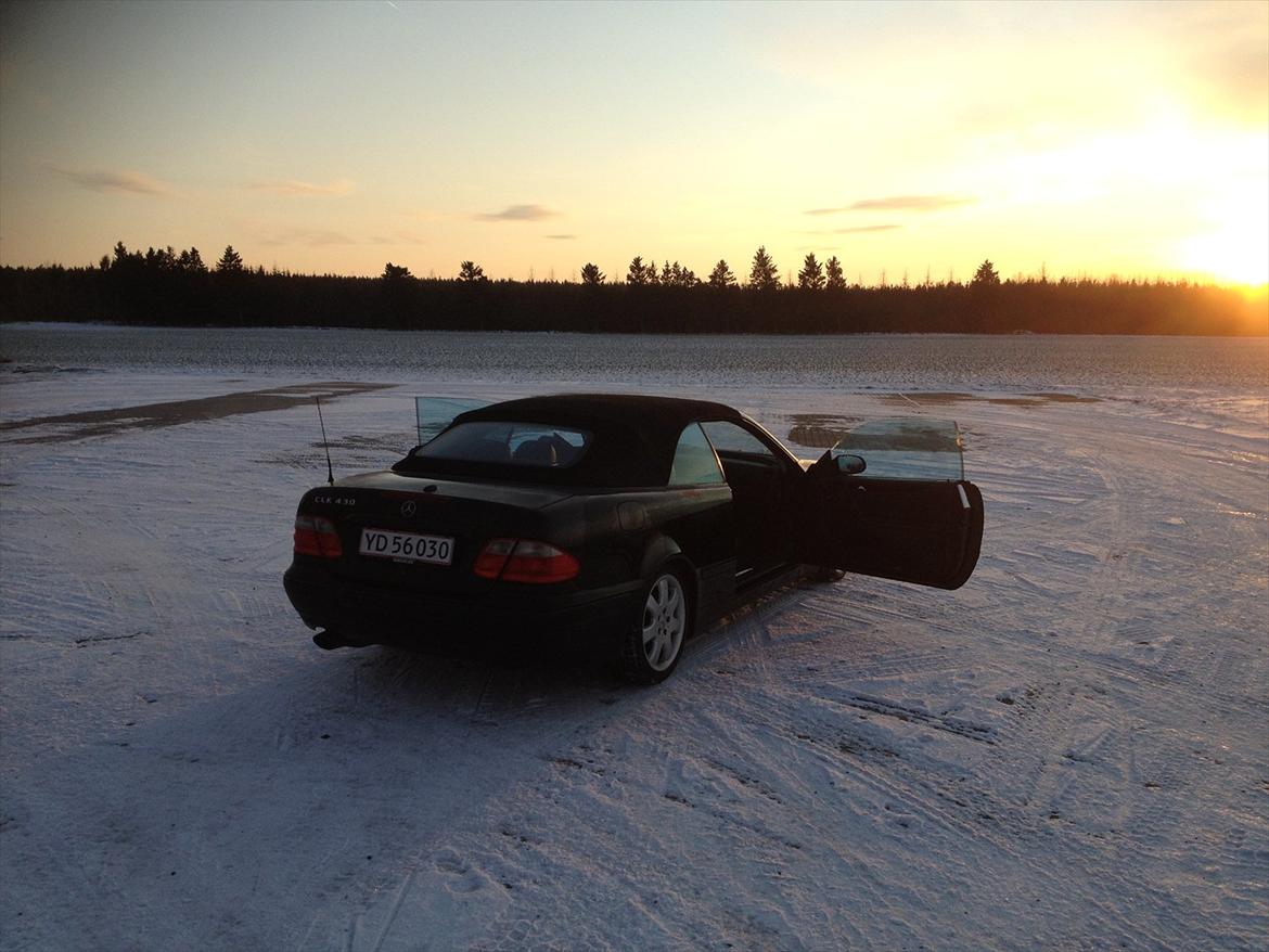 Mercedes Benz CLK 430 billede 12