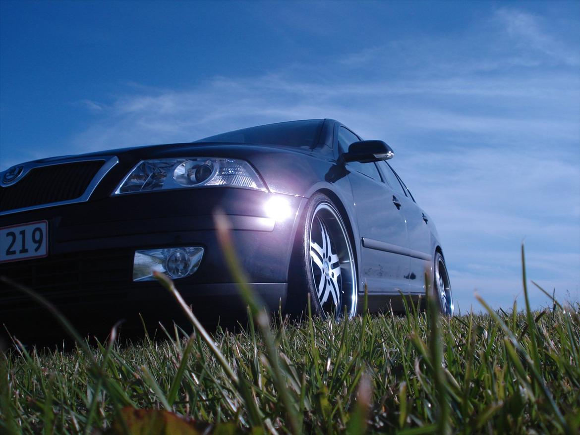 Skoda Octavia II Ambiente billede 1