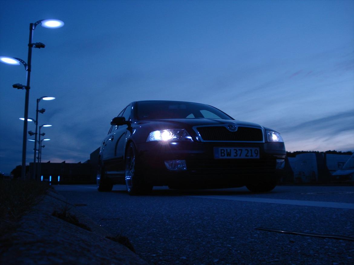 Skoda Octavia II Ambiente billede 3