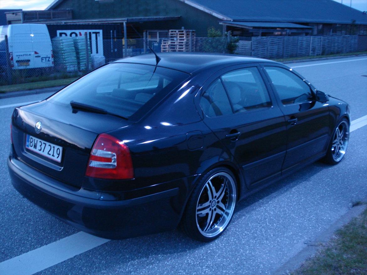 Skoda Octavia II Ambiente billede 4
