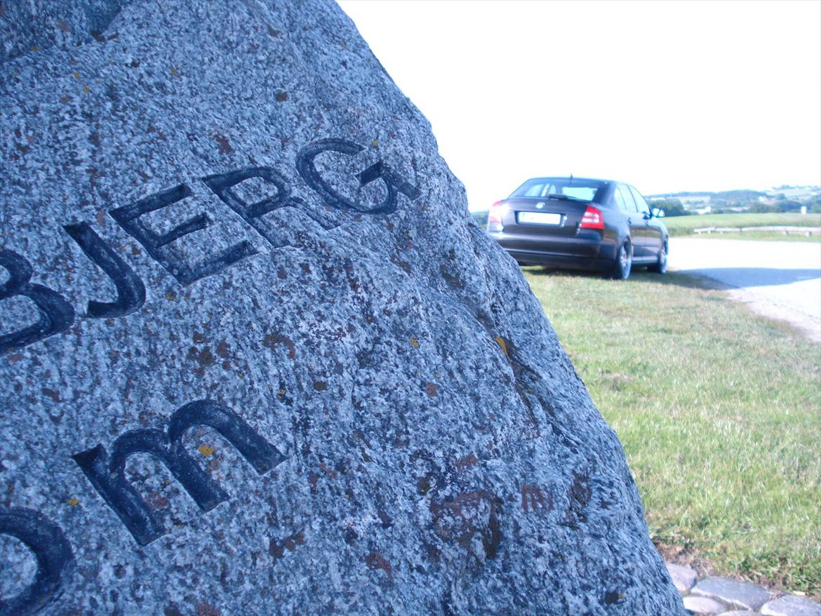 Skoda Octavia II Ambiente billede 7