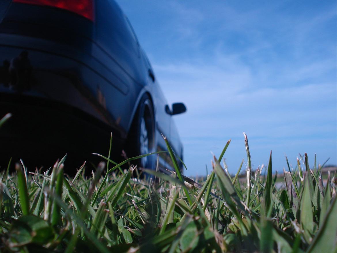 Skoda Octavia II Ambiente billede 8