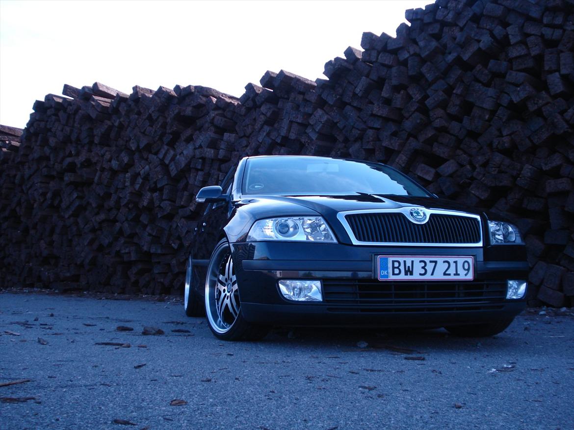 Skoda Octavia II Ambiente billede 10