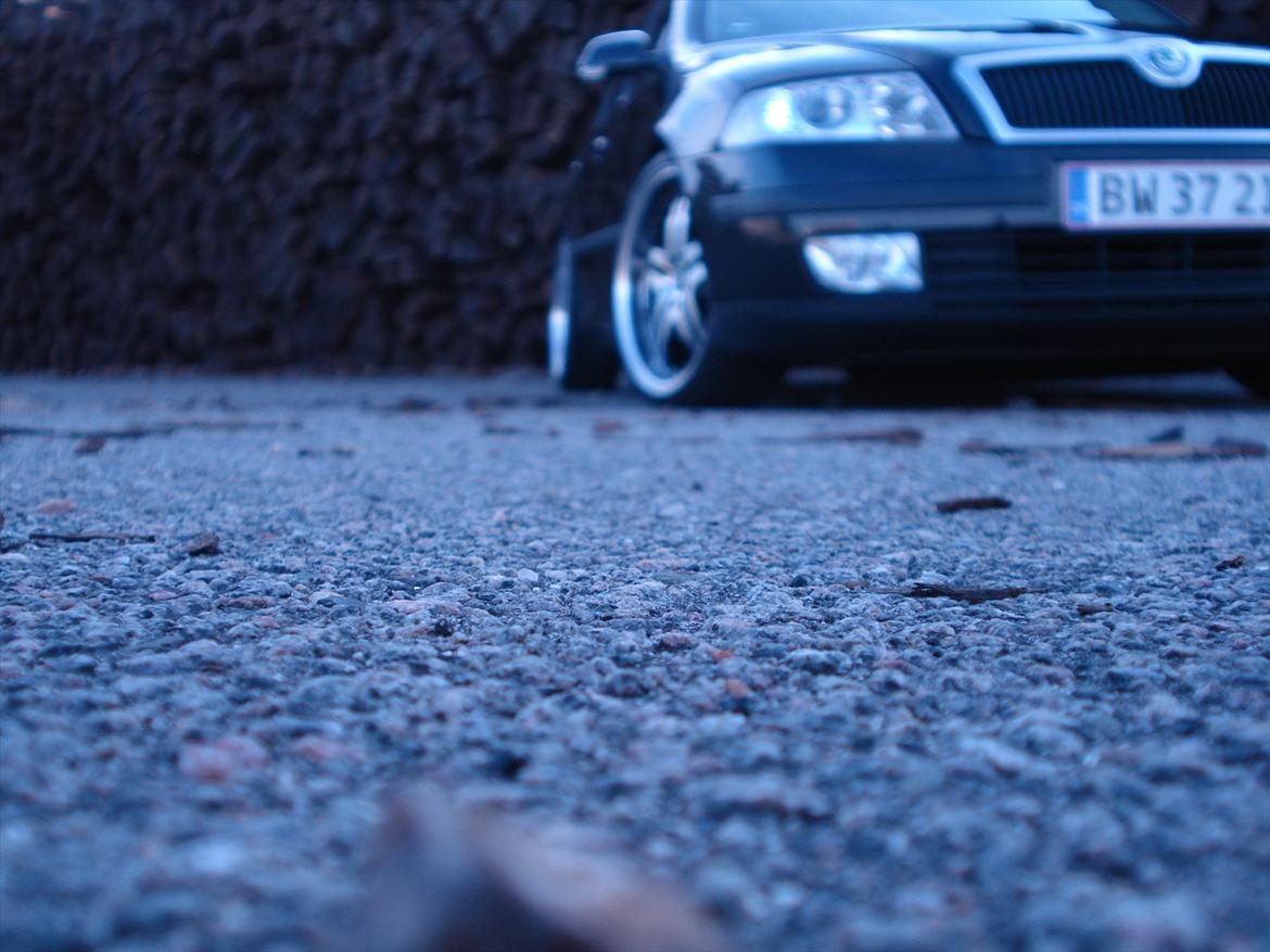 Skoda Octavia II Ambiente billede 11