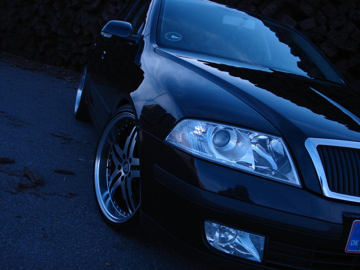 Skoda Octavia II Ambiente billede 12