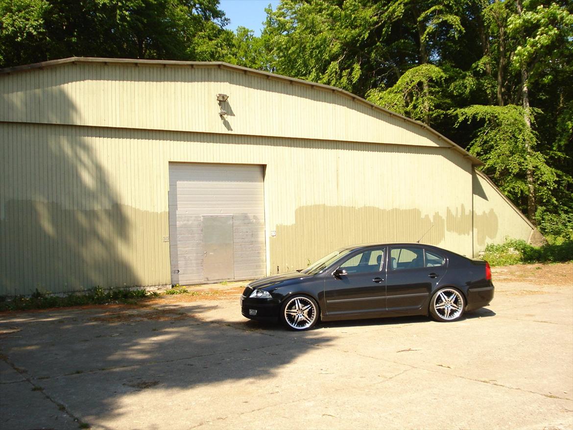 Skoda Octavia II Ambiente billede 13