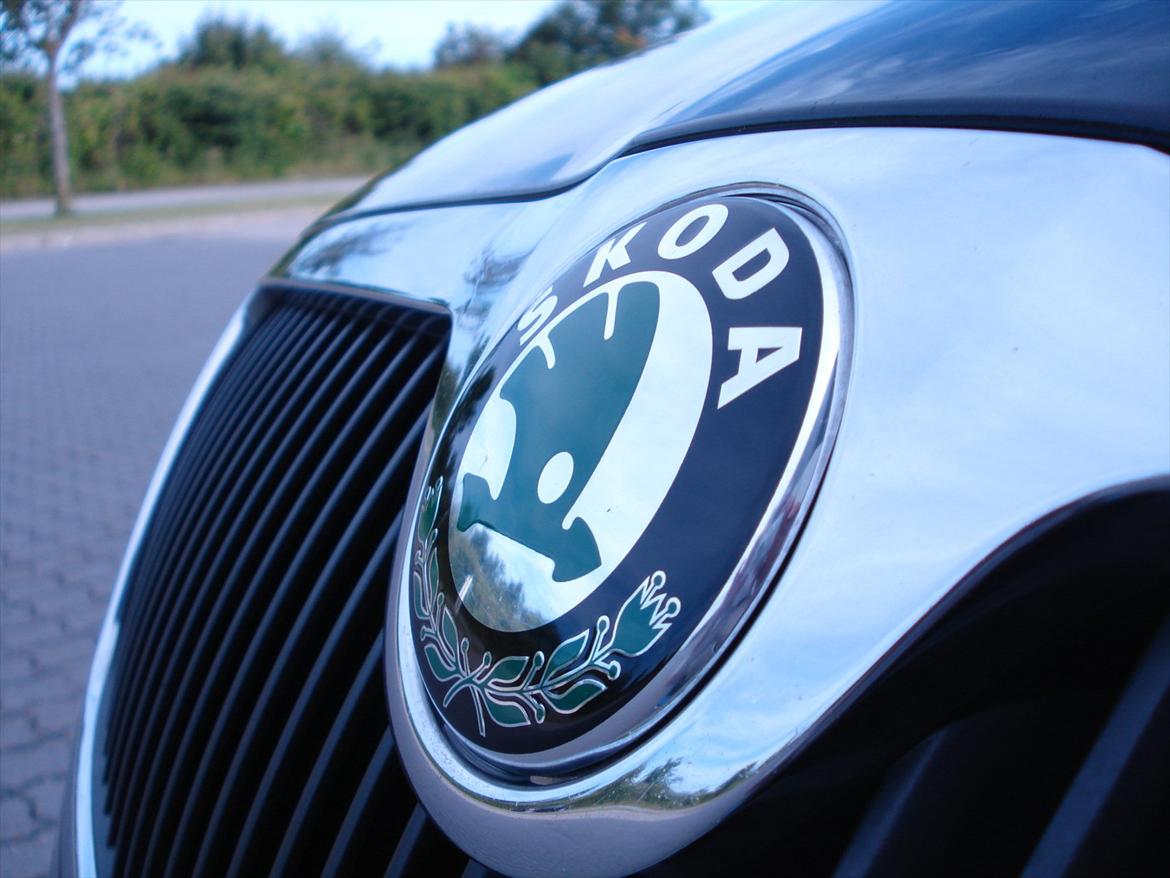 Skoda Octavia II Ambiente billede 14