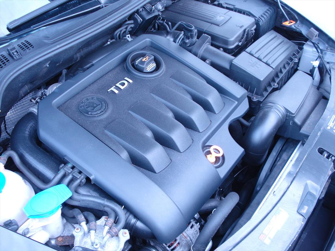 Skoda Octavia II Ambiente billede 18