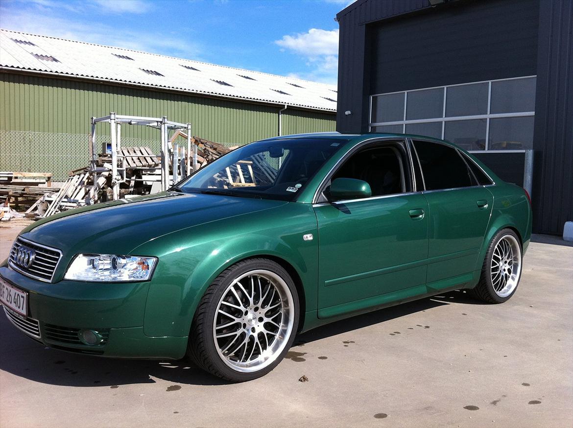 Audi a4 b6 billede 15
