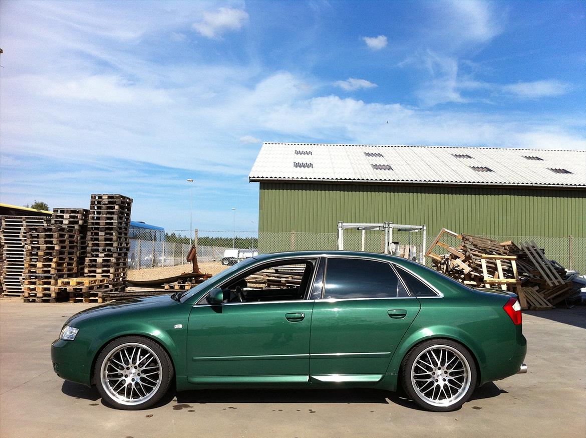 Audi a4 b6 billede 4