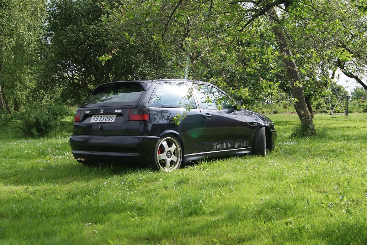 Seat ibiza cupra billede 5