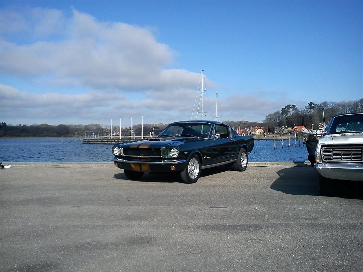 Amerikaner Ford Mustang Fastback GT 350 H Clone ------ SOLGT- billede 5