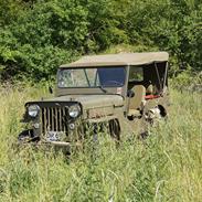 Jeep Willys CJ3B
