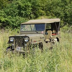 Jeep Willys CJ3B