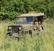 Jeep Willys CJ3B