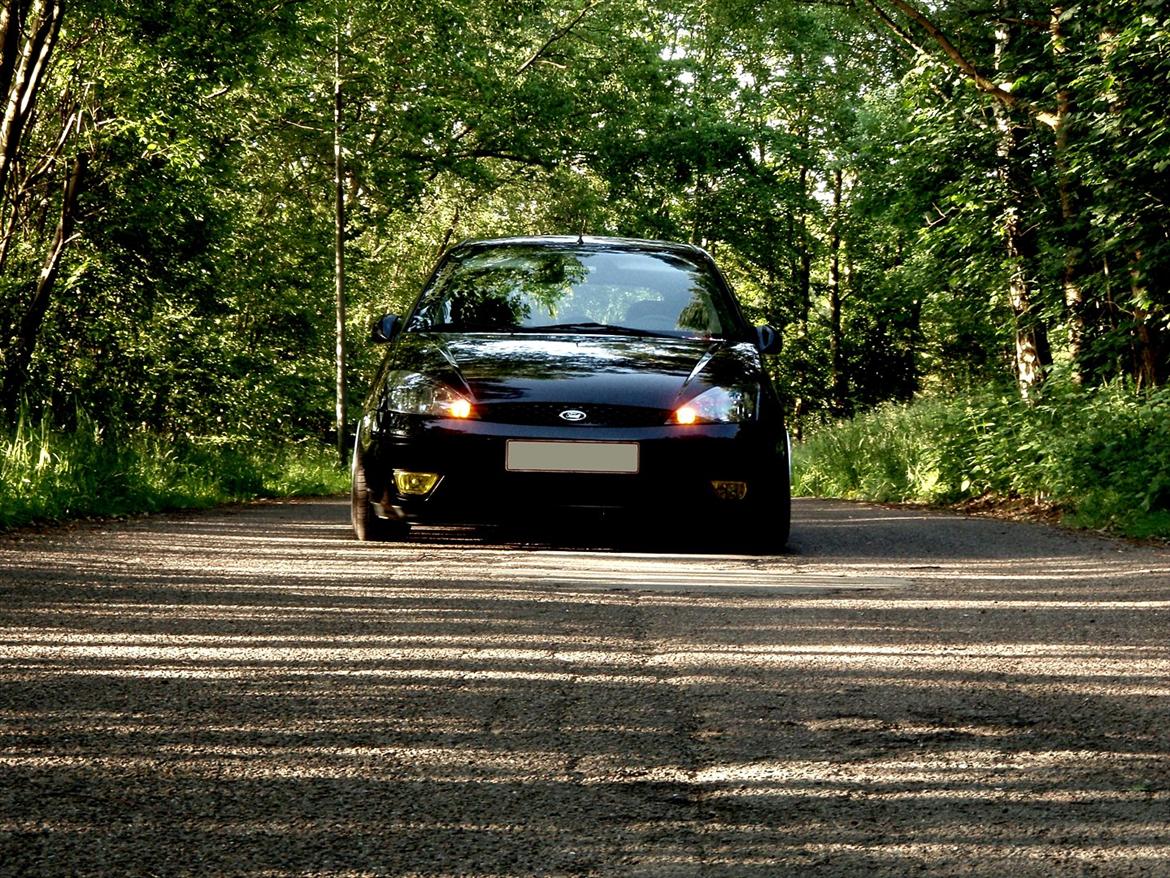 Ford Focus European Lowrider  billede 9