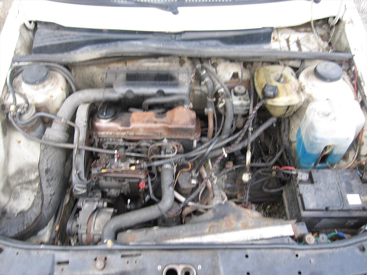 VW Golf 2 billede 10