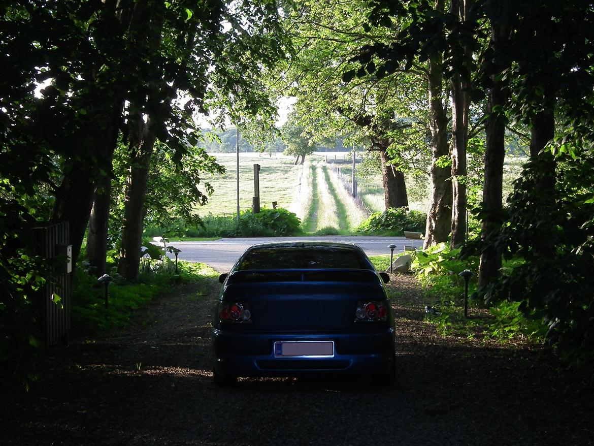 Toyota Corolla 1,6 Gsi (Light Blue) billede 7