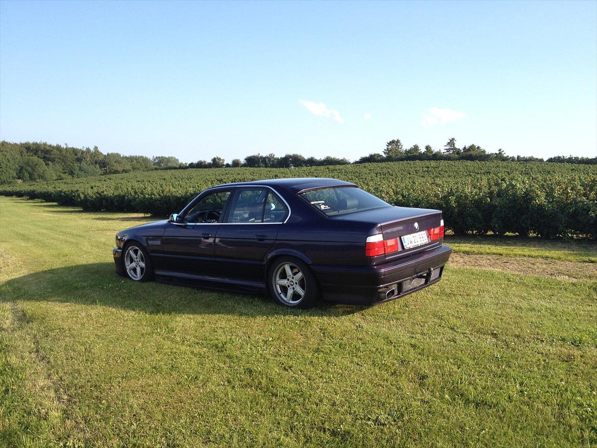 BMW e34 535i billede 1