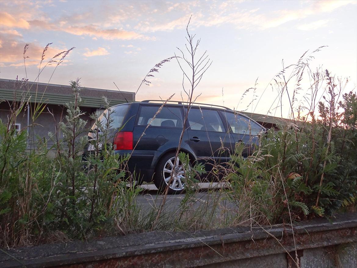 VW Passat Mk IV 1,8T Trendline St.car billede 3