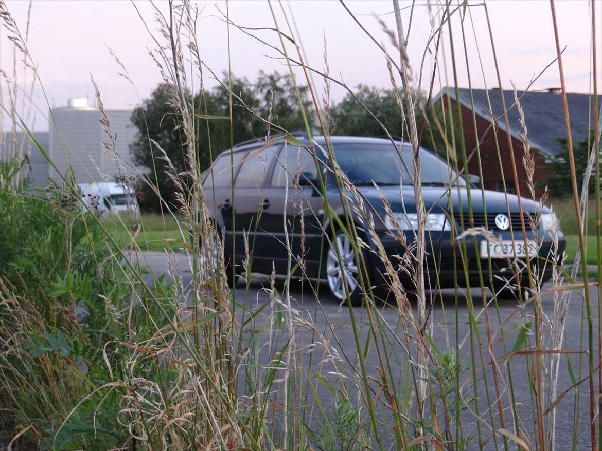 VW Passat Mk IV 1,8T Trendline St.car billede 4