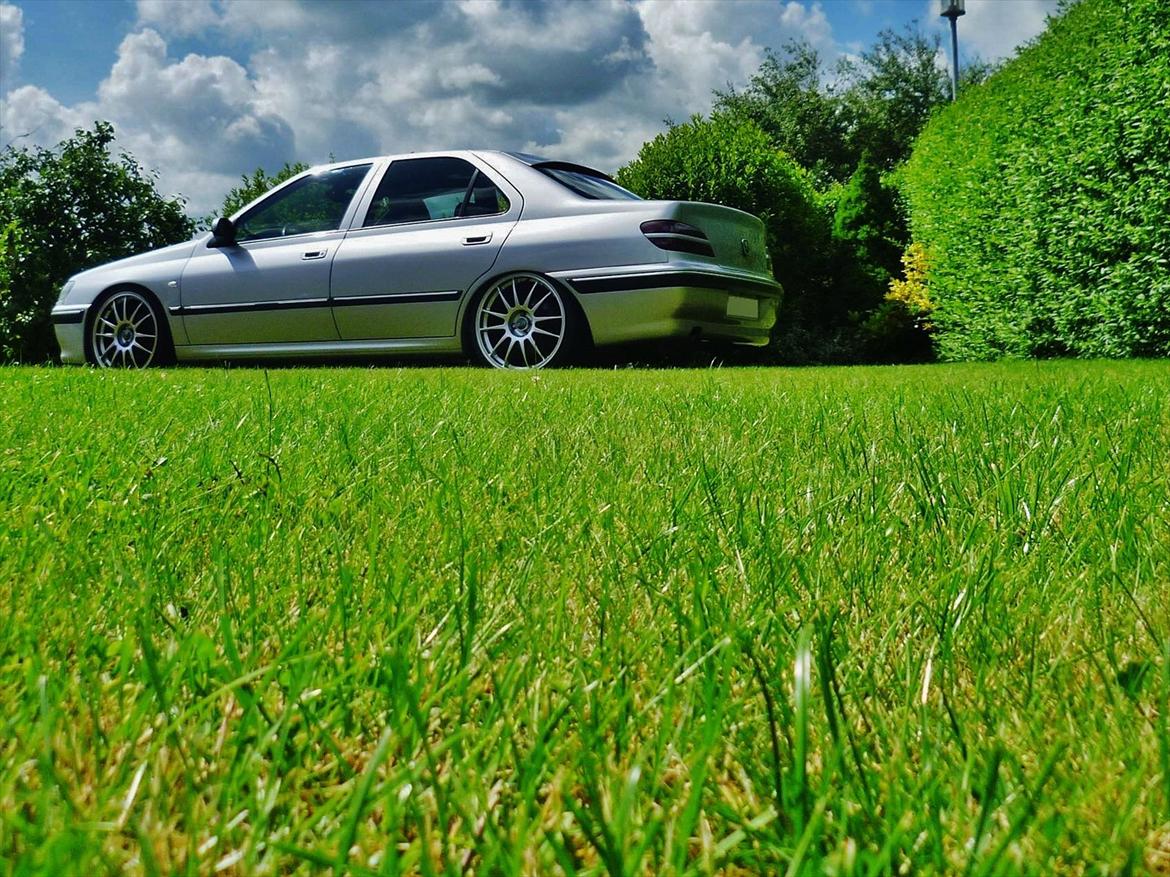 Peugeot 406 3.0 V6 TS6 - Ja, græsset er ny slået..  billede 17