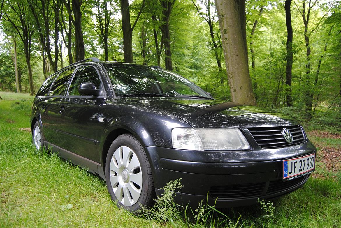 VW Passat St.Car 2.8 V6 Syncro *Lille Mis* - I skovens dybe stille ro D. 3/7-12 :o) billede 1
