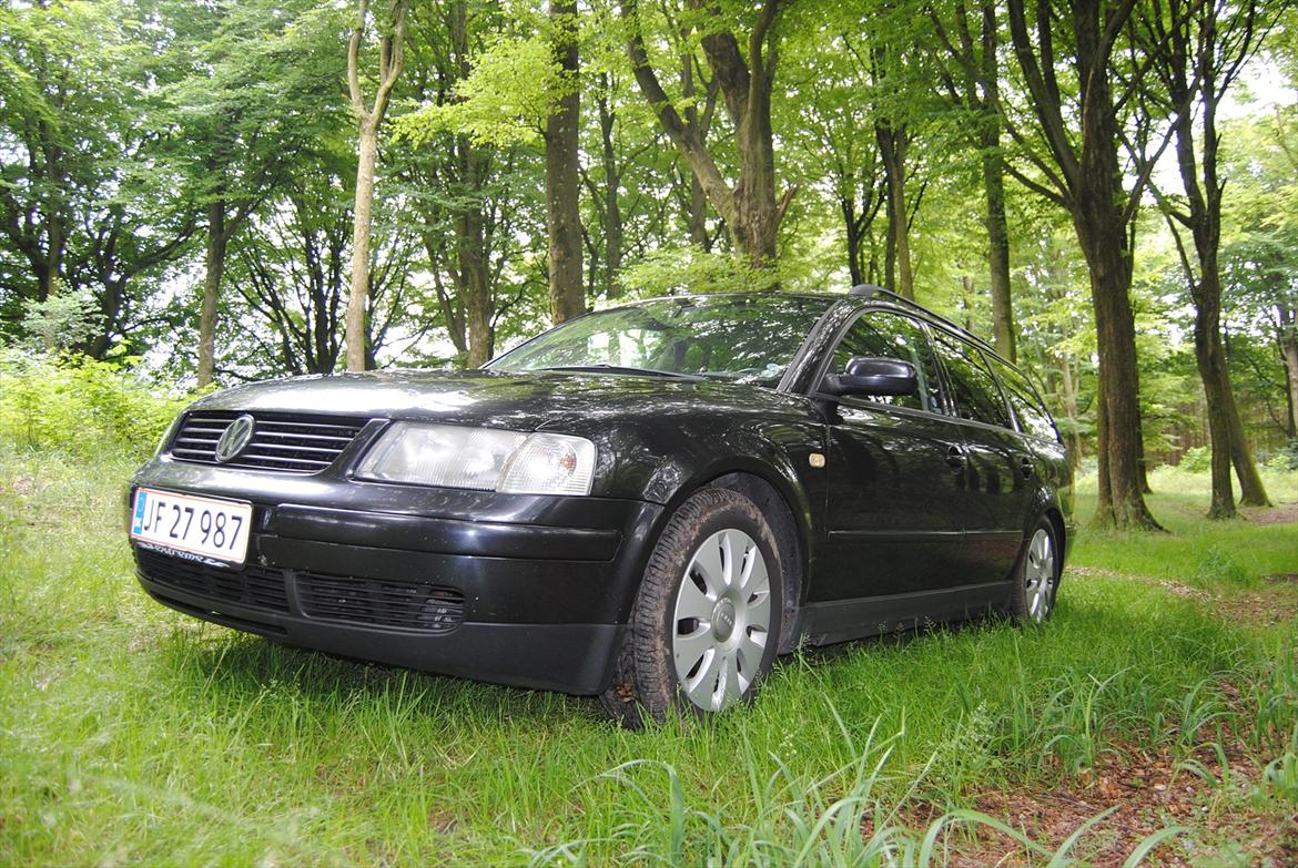 VW Passat St.Car 2.8 V6 Syncro *Lille Mis* - I skovens dybe stille ro D. 3/7-12 :o) billede 5
