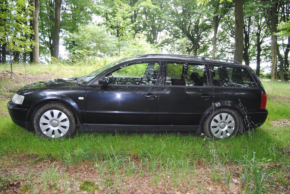 VW Passat St.Car 2.8 V6 Syncro *Lille Mis* - I skovens dybe stille ro D. 3/7-12 :o) billede 10