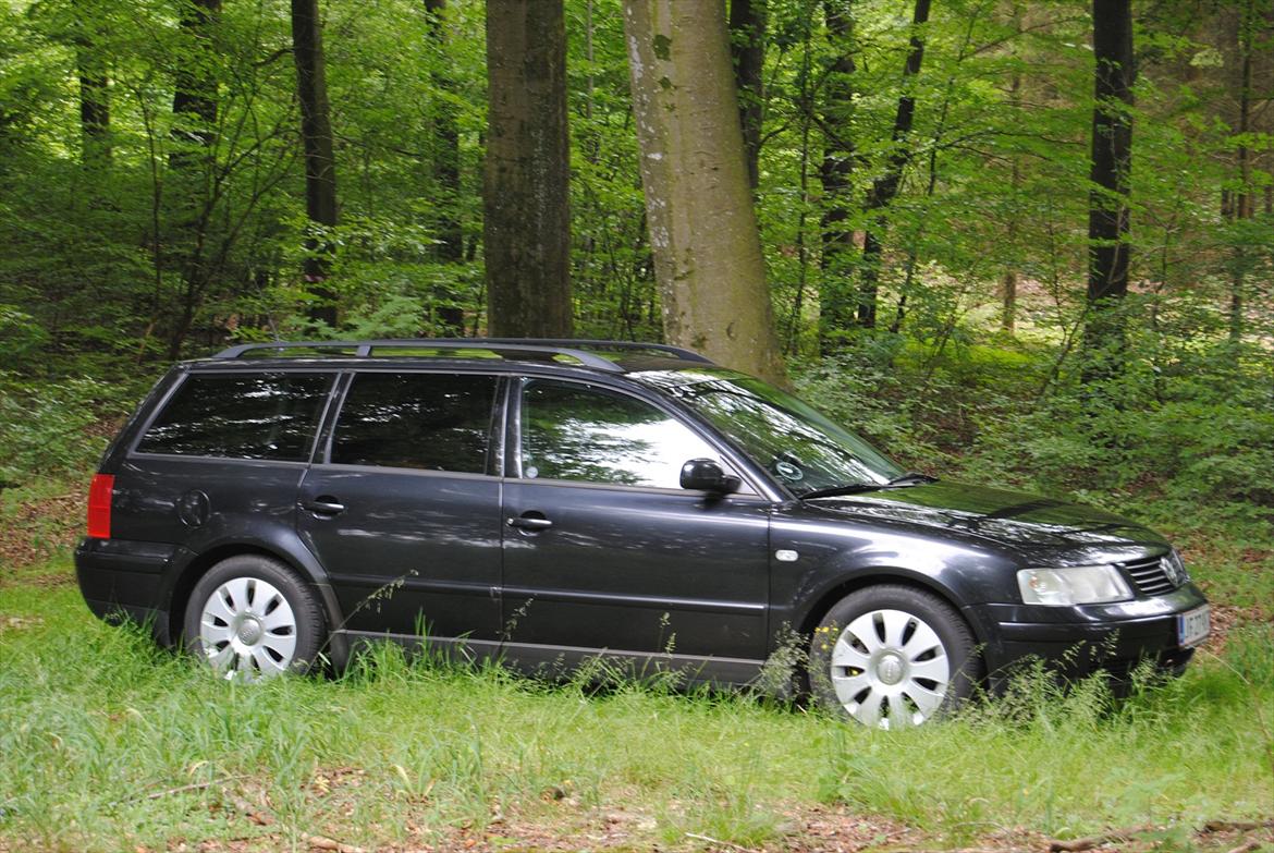 VW Passat St.Car 2.8 V6 Syncro *Lille Mis* - I skovens dybe stille ro D. 3/7-12 :o) billede 13