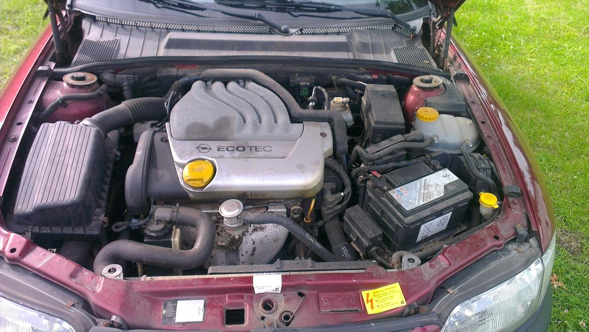 Opel Vectra B 1,6 16V *SOLGT* billede 11