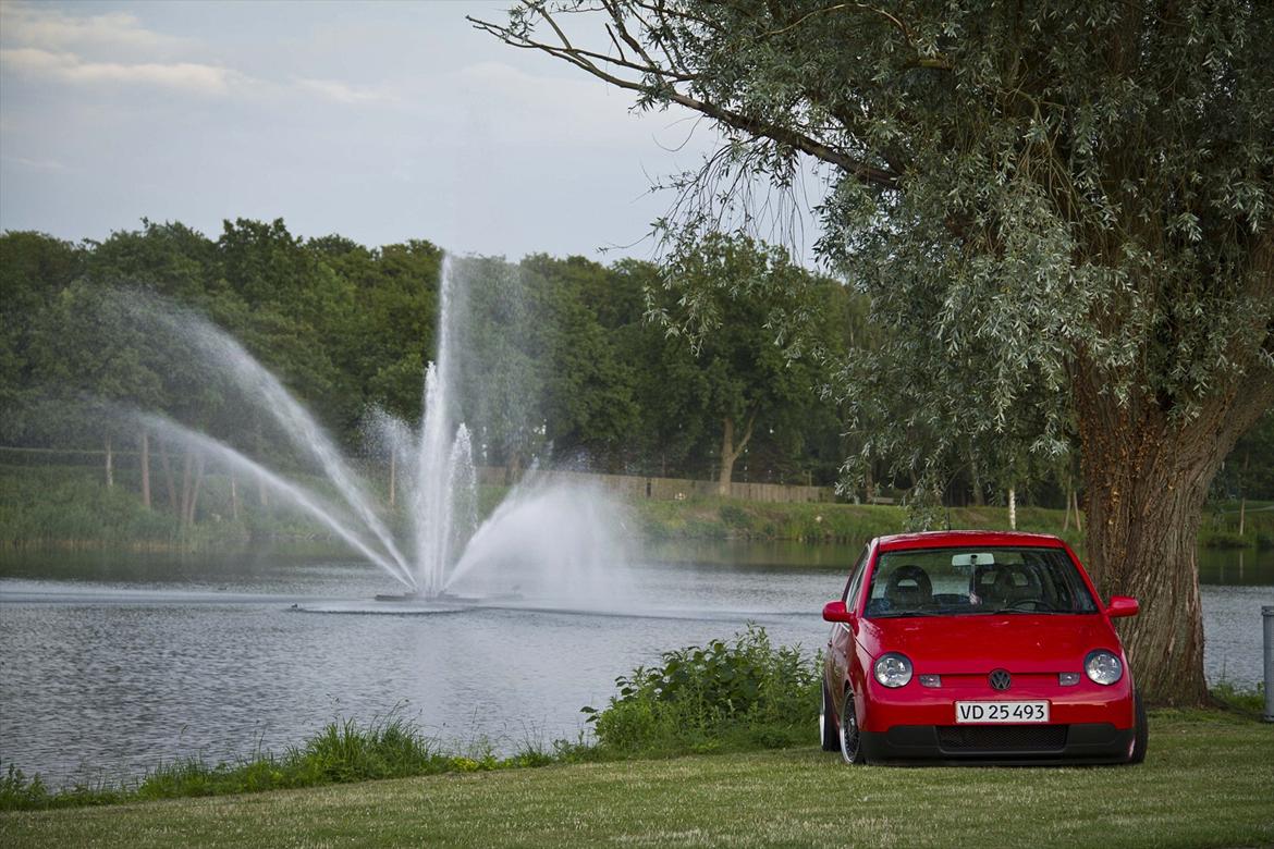 VW Lupo 3L billede 10
