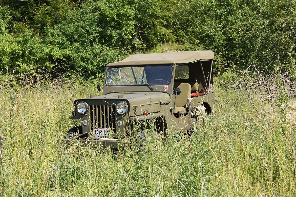 Jeep Willys CJ3B - En dag i det grønne. billede 1