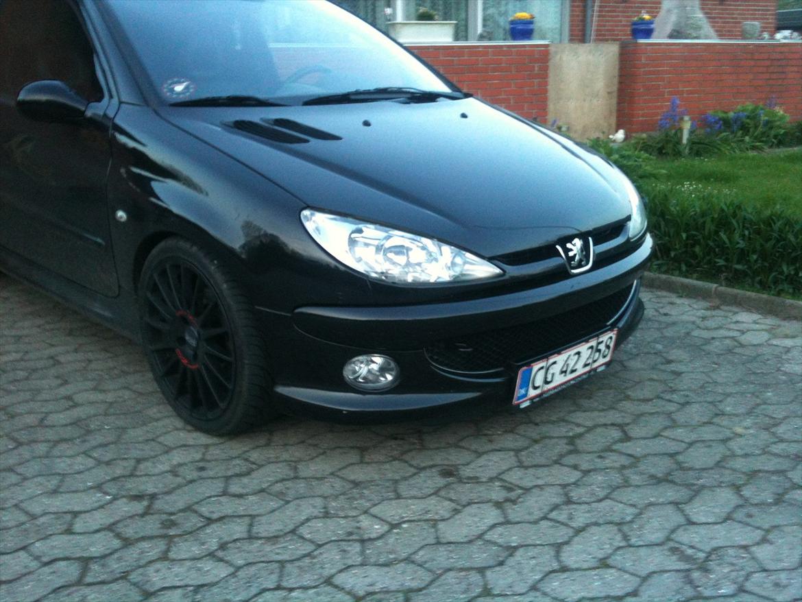 Peugeot 206 Griffe  billede 11